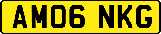 AM06NKG