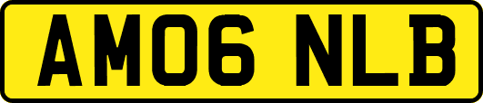 AM06NLB
