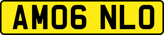 AM06NLO