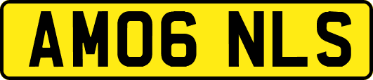 AM06NLS
