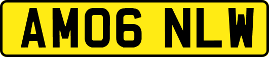 AM06NLW