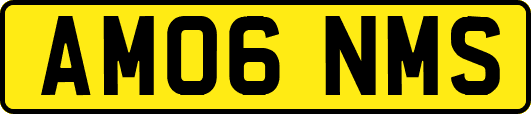AM06NMS