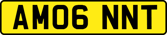 AM06NNT