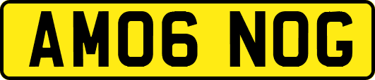 AM06NOG