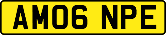 AM06NPE