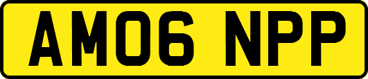AM06NPP