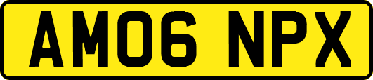 AM06NPX