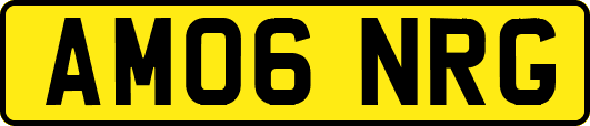 AM06NRG