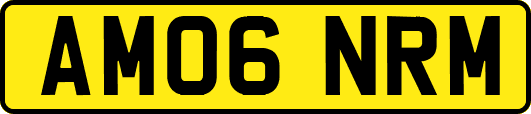AM06NRM