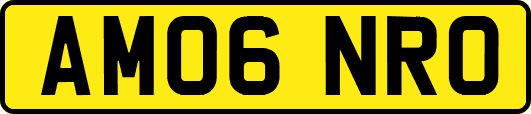 AM06NRO