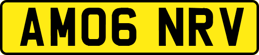 AM06NRV