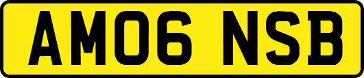 AM06NSB