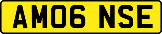 AM06NSE