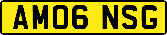 AM06NSG