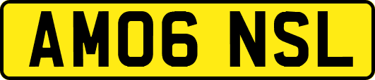 AM06NSL