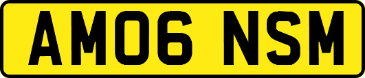 AM06NSM