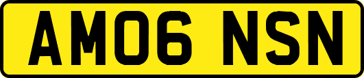 AM06NSN