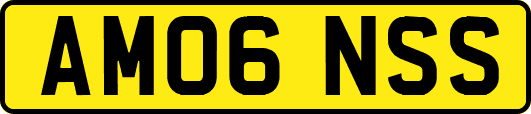 AM06NSS