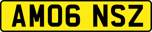 AM06NSZ
