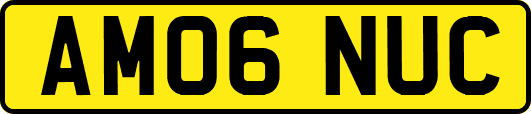 AM06NUC