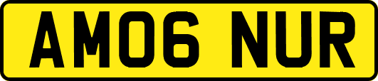 AM06NUR