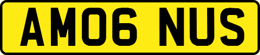AM06NUS
