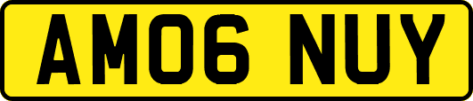 AM06NUY