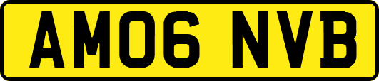 AM06NVB