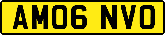 AM06NVO