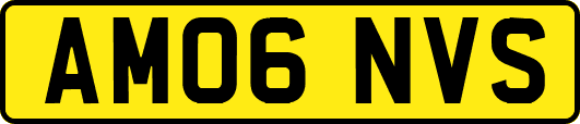 AM06NVS