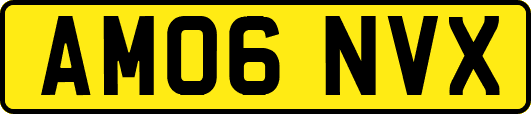 AM06NVX