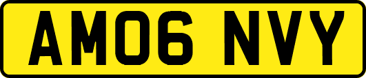 AM06NVY