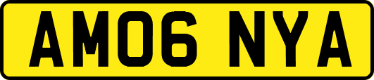AM06NYA