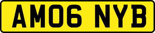 AM06NYB