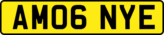 AM06NYE