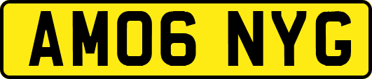 AM06NYG