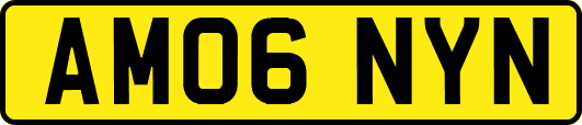 AM06NYN