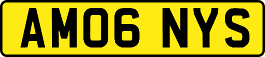 AM06NYS