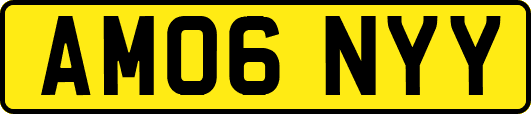 AM06NYY
