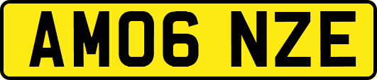 AM06NZE