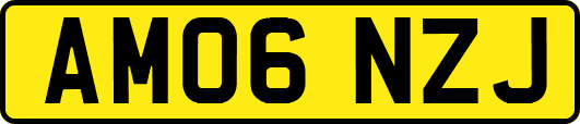 AM06NZJ