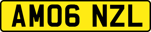 AM06NZL