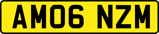 AM06NZM