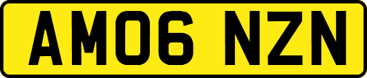 AM06NZN