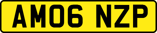 AM06NZP