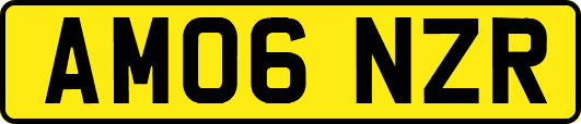 AM06NZR