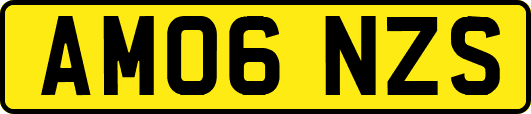 AM06NZS