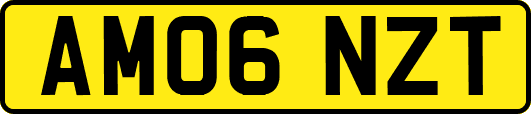 AM06NZT