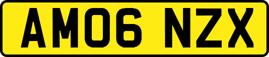 AM06NZX
