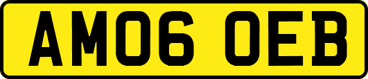 AM06OEB